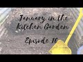 Cold Room drama :( & seed potato ideas | January in the Kitchen Garden 2022 #16