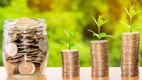O que é a maximização de riqueza?