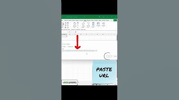 Import Web Data into Excel in Seconds!