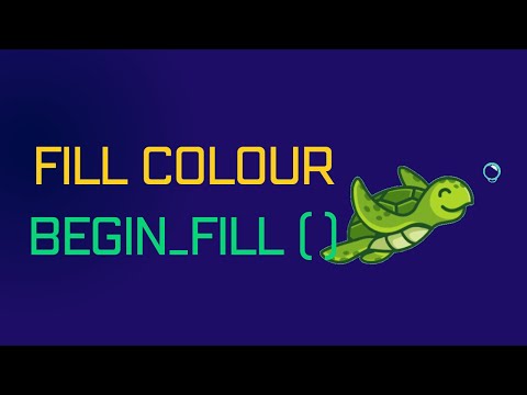 Python | Turtle Graphics | Fill Shape