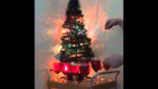 Wine Glass Carols - A Holly Jolly Christmas