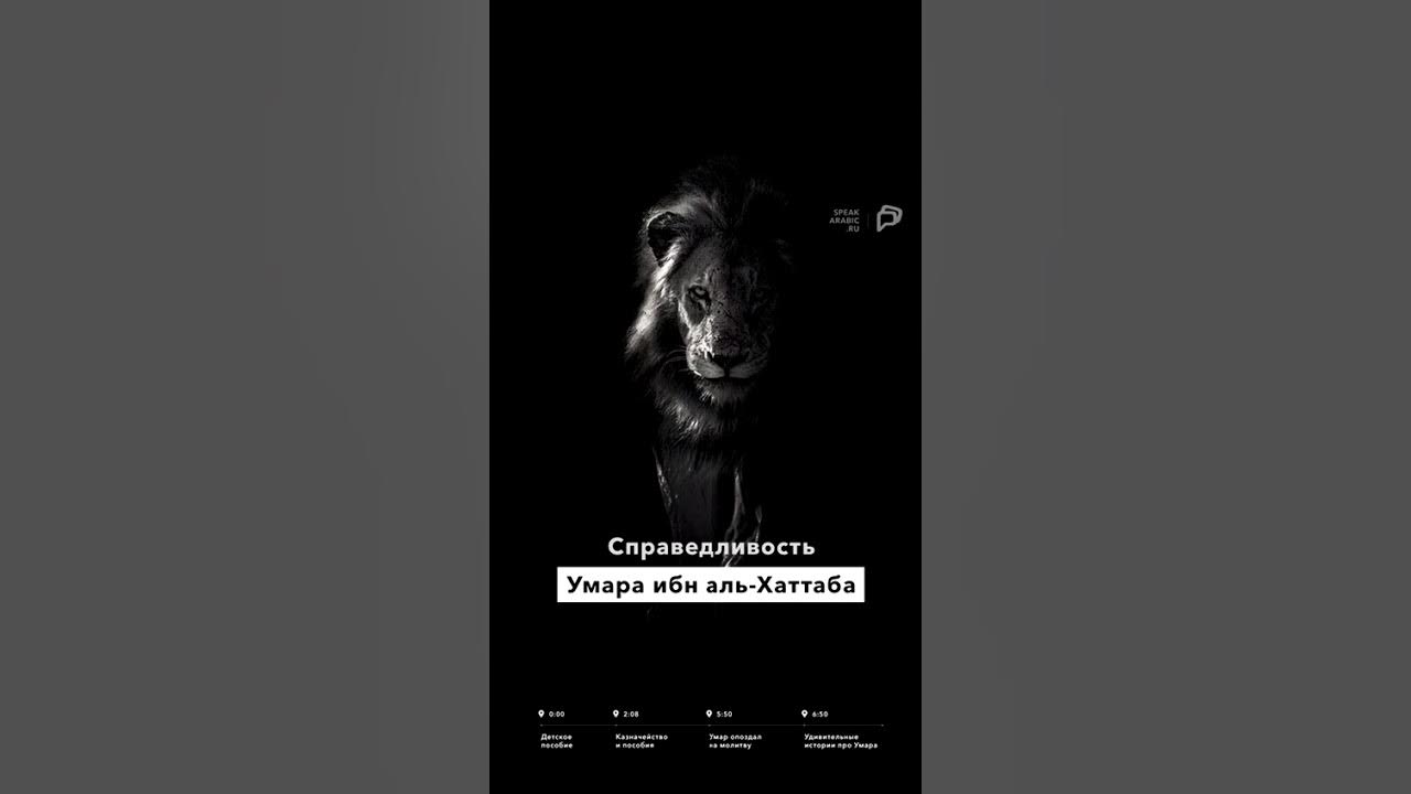 Слова умара после боя. Слова умара после боя
