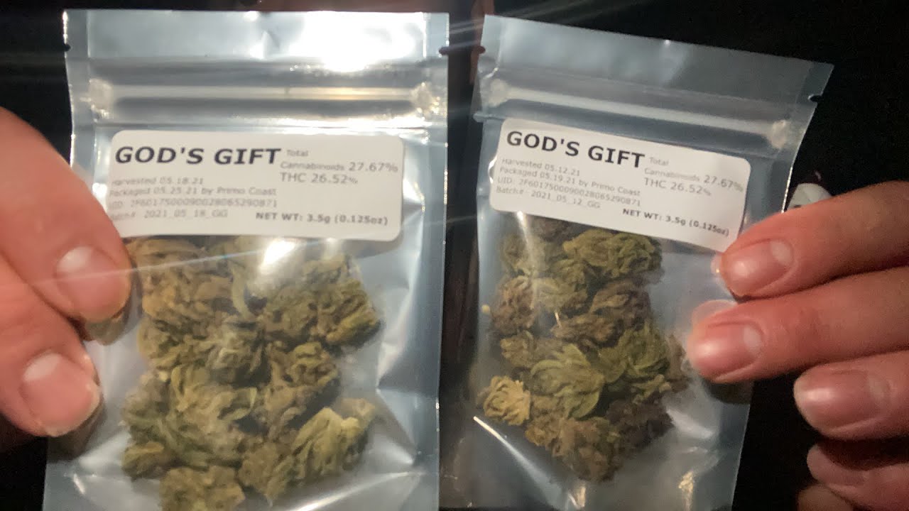 God’s Gift Strain Review!