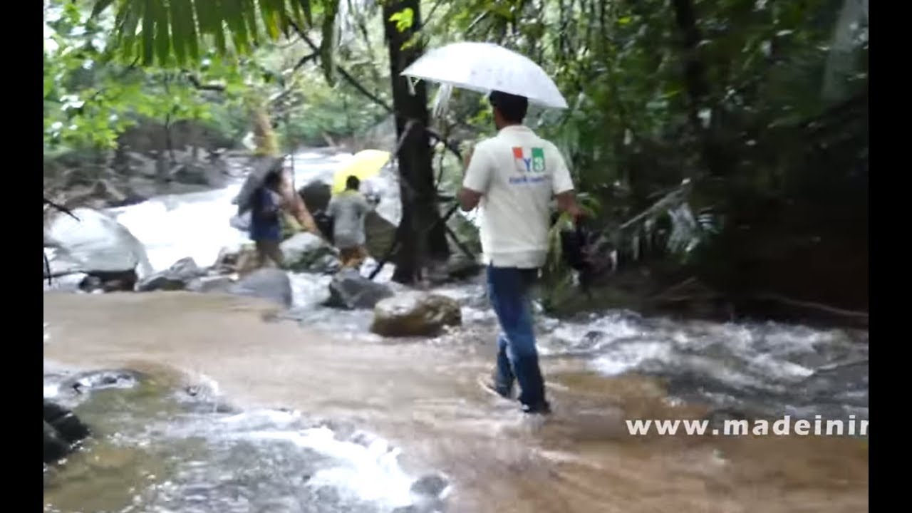 FISHER MAN MAKING FISH FRY NEAR DUDH SAGAR WATERFALLS street food | STREET FOOD