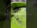 #publico