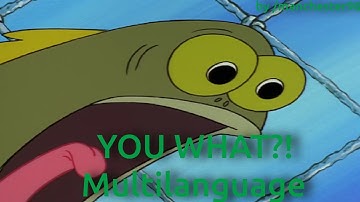 YOU WHAT?! -  Multilanguage in 41 languages (APRIL FOOLS
