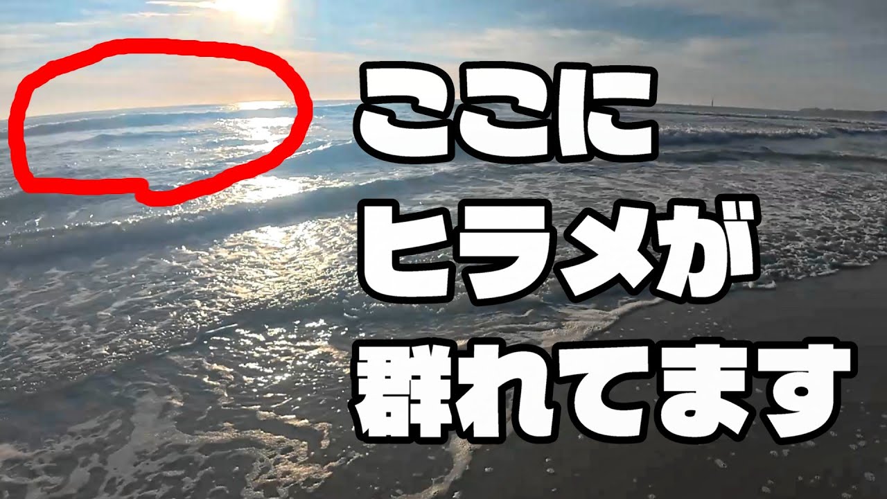 【福島サーフ】ヒラメが群れているところを見つければ釣果が伸びる