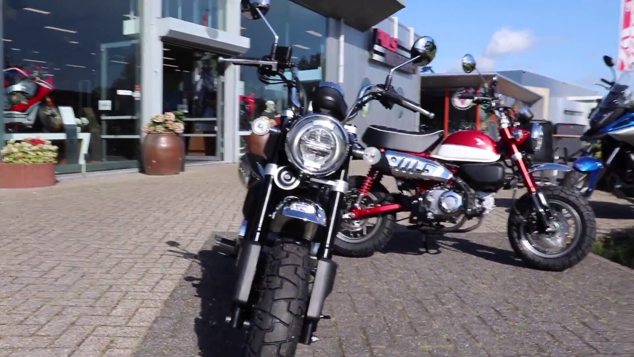 Honda z125 monkey