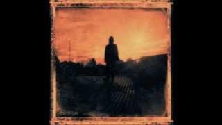 Steven Wilson- Deform To Form A Star