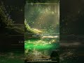 魔法の森🌿に迷い込んだような作業用BGM #Shorts