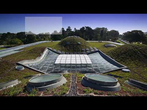 Video: Paano Bumisita sa California Academy of Sciences