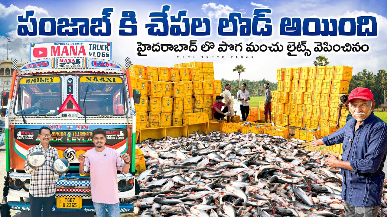 పంజాబ్ కి చేపల లొడ్ అయింది🚛 హైదరాబాద్ లొ పొగ మంచు లైట్స్ వెపించినం💡