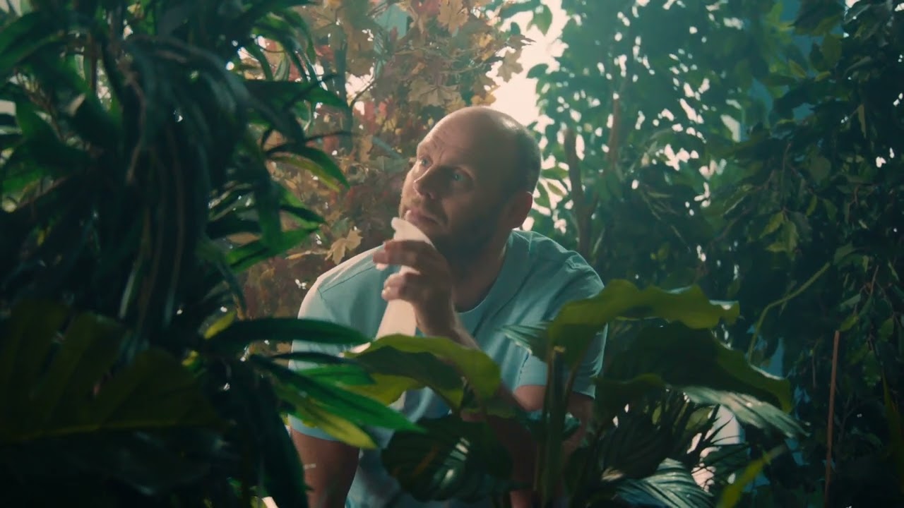 Atlantsorka - Plöntur