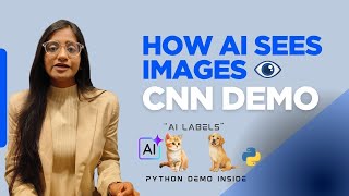 Convolutional Neural Networks Explained | Python Demo in Colab Image Classification Using Convolutional Neural Network Using Google Colab