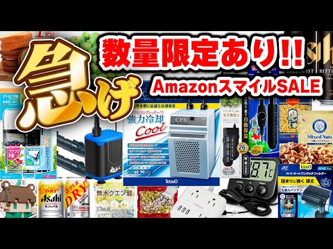 【AmazonスマイルSALE】数量限定あり！お買い得アクア用品からおつまみまで紹介します【ビバアクア】#アクアリウム #熱帯魚