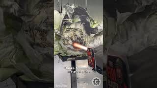 High-Velocity Oxy-Fuel Hits Cabbage You Wont Believe This