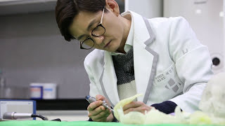 T절골, ㅅ절골, W절골 등에 소견 [백정환의 턱끝수술 #3]