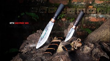 Báo Giá DAO MÈO MUN ngày 05/05/2022 - Hàng Chuẩn Của HTX Dao Phúc Sen