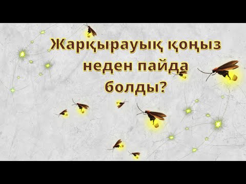 Бейне: Жаңартылған ұшқын шамдары тұр ма?