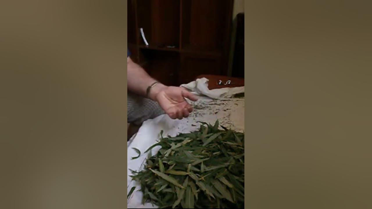 САМОКРУТКА?... - YouTube