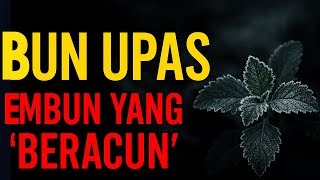 Kenapa Embun Bisa Jadi Racun? Fakta Menarik Bun Upas!