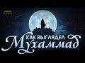 КАК ВЫГЛЯДЕЛ ПРОРОК МУХАММАД Али Хаммуда Подробное описание Пророка ﷺ