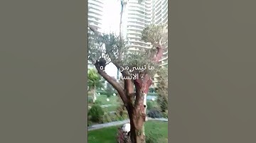 سوره الانسان بصوت جميل