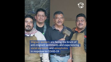 One year on - The COVID-19 Pandemic