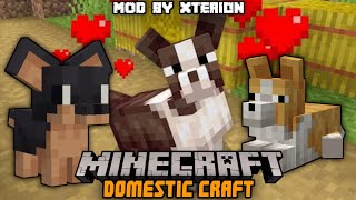 Domestic Craft Addon Mcpe || More Mobs Mod || Minecraft Pe Mod Showcase screenshot 1