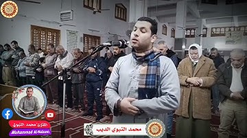 تلاوة إبداعية وخاشعة ما تيسر من سورة القصص قصة قارون