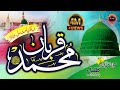 New naat 2019 qurban e muhammad by hafiz abdul qadir and students of jamia hassan