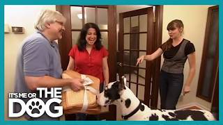 Bedtime Chaos Ends with Victoria Stilwell's Training Tips | It's Me or the Dog