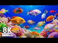Aquarium World 8K VIDEO ULTRA HD – Vibrant Coral Reef Fish for Deep Relaxation