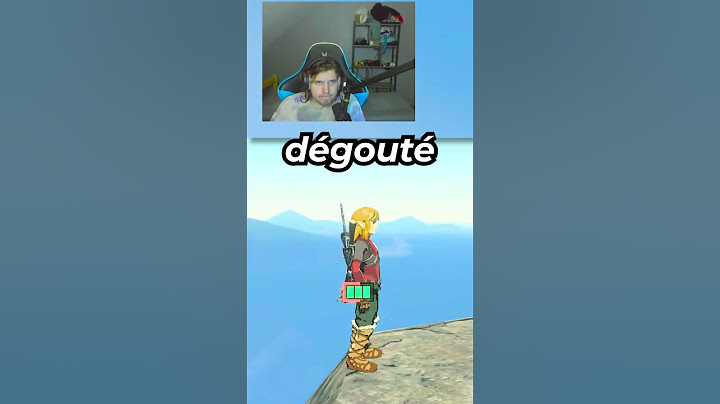 TOUT LE MONDE A ESSAYÉ DE FAIRE CA sur Zelda Tears of the Kingdom