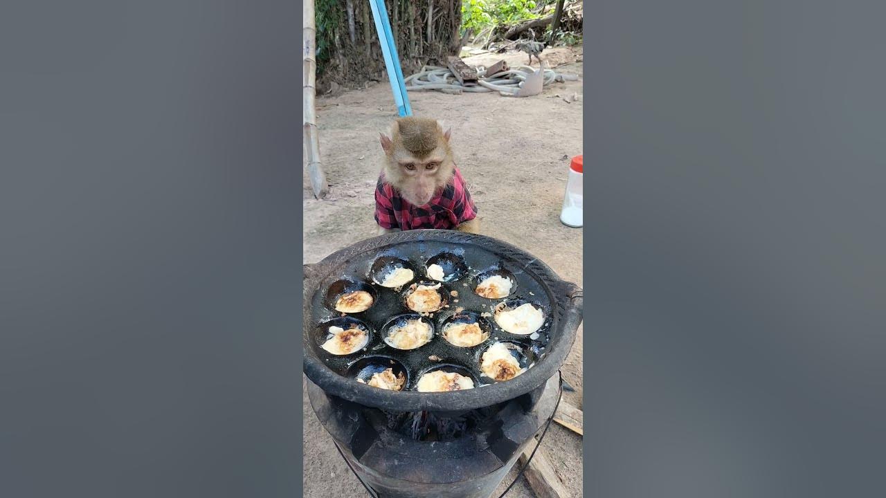 great-sokyaa-cook-cake-at-home-shorts-youtube