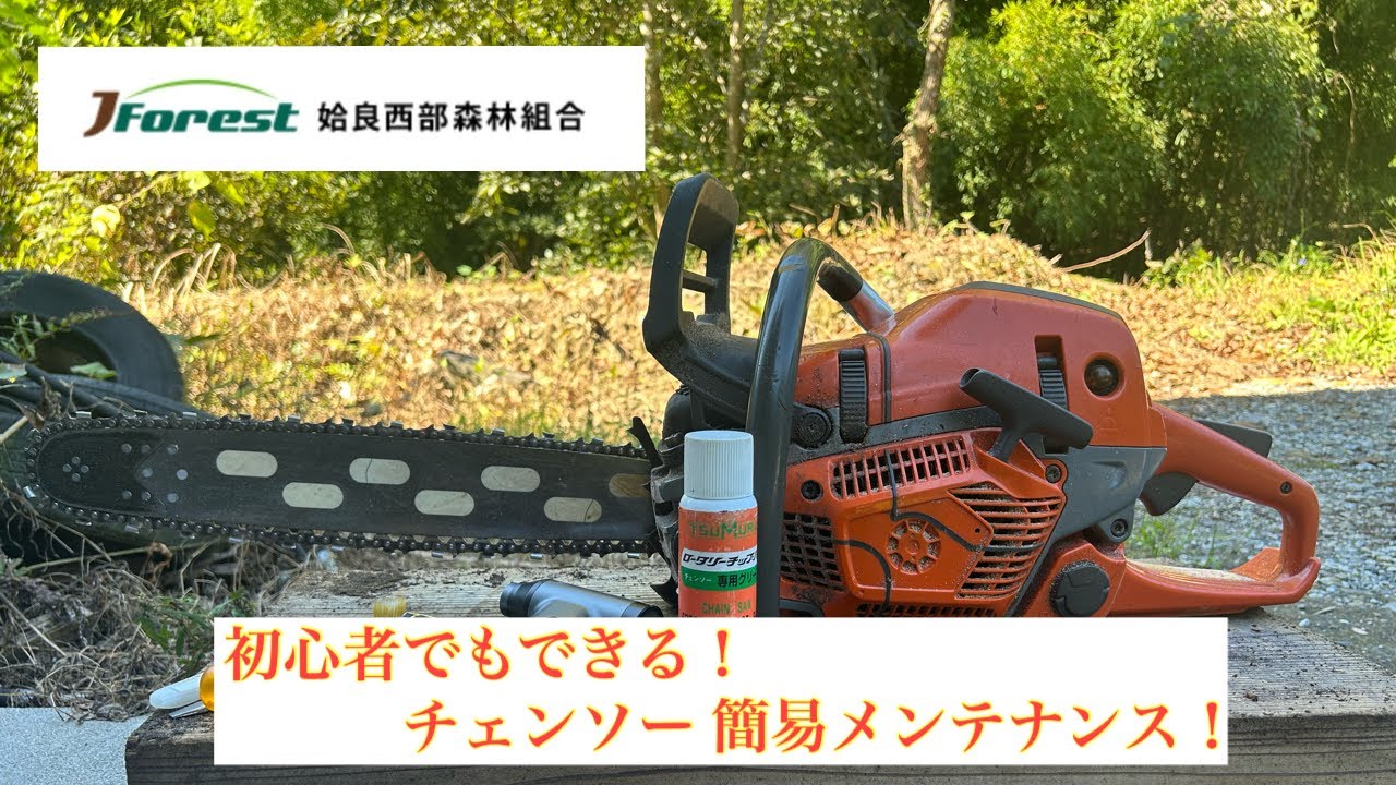 細かい分解はなし！日頃からできるチェンソーメンテナンス！ - YouTube