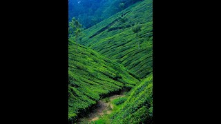 India - Meditation Music screenshot 5