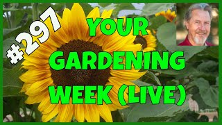 Watering the Garden (Q&A)
The simple act of watering plants is one that seems particularly difficult to master. Gardener Scott discusses how and when to water, how to do it effectively, answers gardening questions, shares gardening philosophy, and more. (May 4, 2026)
⚠️ PLEASE READ THE LIVESTREAM GUIDANCE HERE: ⚠️
⚠️ If you put ”@Gardener Scott” at the beginning of your question, it will be easier for me to see. QUESTIONS WITH ALL CAPS ARE NOT HELPFUL.
⚠️ As I see questions, I’ll do my best to answer in the order they appear. However, if someone gives a super chat or “super sticker” with a question, their question becomes a priority and moves to the front of the queue. Channel members will receive priority. Comments that pertain to the topic of the week are also more likely to be acknowledged.
⚠️ Because I have a limited amount of time, if I miss a super chat question this week, it will be answered at the beginning of my next livestream next week.
⚠️ Your super chat/sticker is a donation that I appreciate very much.
⚠️⚠️ I’m answering YouTube questions to give actionable tips you can use to become a better gardener. While I have many years of gardening experience and training, please understand that every garden is different and my suggestions may not be the best action for your garden. I encourage you get information from other sources too.
Thanks for your understanding and support!
Get Gardener Scotts book, Gardener Scotts Guide to Raised Bed Gardening: https://amzn.to/3WPzpZP
Click this link to SUBSCRIBE to Gardener Scott: https://www.youtube.com/channel/UCWsI0LmiDyezbnN2JCL4P9w?view_as=subscriber?sub_confirmation=1
Get special perks and join the Gardener Scott Community. Click the JOIN button or link here:
https://www.youtube.com/channel/UCWsI0LmiDyezbnN2JCL4P9w/join
To support the channel, you can click on these affiliate links:
GreenStalk vertical garden system: https://rstr.co/greenstalkgarden/gardenerscott
Use code GARDENERSCOTT for a $10 discount.
Gardening supplies and seeds from Epic Gardening: https://lets.growepic.co/1483
Use code GARDENERSCOTT for 5% discount
Garden in Minutes metal beds and grid watering systems: https://glnk.io/koxp5/ambassador
Use Code GARDENERSCOTT7 to save 7%
GrowTrack AI Gardening Assistant: https://app.usegrowtrack.com/?ref=69d12949ae1efcf4eff72db3
Planter garden planning app. Click this link for 25% off the Planter Premium subscription (the discount code is embedded already): https://planter.garden/promo/GardenerScott
Planta Greenhouses:
USA CUSTOMERS - https://plantagreenhouses.com/gardenerscott
CANADA CUSTOMERS - https://plantagreenhouses.ca/gardenerscott
The Mill Food Recycler:
https://www.mill.com/gardenerscott and save $75
IV Organic fertilizer and plant protection: https://ivorganic.com/
Use Promo code GARDENER for 10% off
T-shirts, mugs, and more at the Gardener Scott Store:
https://gardener-scotts-store.creator-spring.com
If you use Amazon and want to buy anything at all, click through with this affiliate link: http://www.amazon.com/?tag=gardenerscott-20
Tempest Weather Station
https://shop.tempest.earth/?ref=gardenerscott
Use code GARDENERSCOTT for 10% off
Survival Garden Seeds: https://survivalgardenseeds.com/?ref=GARDENERSCOTT
Use code GARDENERSCOTT for a 10% discount
Botanical Interests seeds from Epic Gardening: https://lets.growepic.co/1483
Use code GARDENERSCOTT for 5% discount
Sow Right Seeds: https://sowrightseeds.com/?ref=skhraktx
Use code GARDENERSCOTT for a 10% discount
London Sunshine dehydrators: https://bit.ly/49snqWi
10% discount code: GARDENERSCOTT
Harvest Right Freeze Dryers:
https://affiliates.harvestright.com/1722.html
Check out Gardener Scotts Recommended Gardening Books at: https://bookshop.org/shop/gardenerscott
#EnjoyGardening #GardenerScott
Links included in this description and referenced in videos might be affiliate links. As an Amazon Associate I earn from qualifying purchases. If you purchase a product or service with the links I provide, I may receive a small commission. There is no additional charge to you for those affiliate links and your support allows me to provide free content every week on the Gardener Scott channel.
Thank you for your support! Watering the Garden (Q&A)