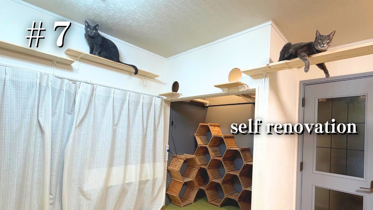 #7 猫ステップ周回編【DIY】30万円で築32年実家のリビングをセルフリフォーム！劇的ビフォーアフター