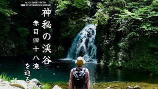 Mystical Gorge Journey | Akame 48 Waterfalls | Sounds of Water