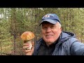 Белые грибы 🍄‍🟫 в ноябре! В конце был просто шок,такого со мной сдесь еще небыло,я думал мерещится!