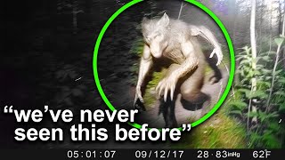 Unknown Creatures Spotted On Trail Cam Footage
