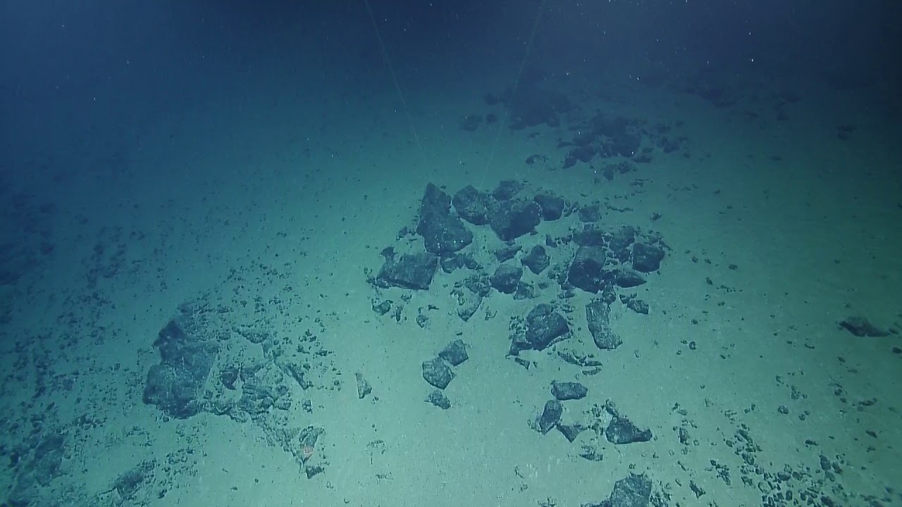 ROV Hercules Dive NA112-H1768-20190730T0948UTC-28 - YouTube