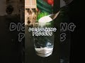 Dissolving Process Of Sugar In Water Students Projects Science Experiments Dissolving mp3