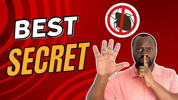 The BEST SECRET to getting rid of BED BUGS
