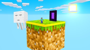 Skyblock but its INSIDE a BLOCK! NETHER PORTAL!