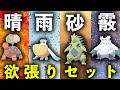 【異常気象】天候パって全部入れたら最強じゃね！？【ポケモン剣盾】