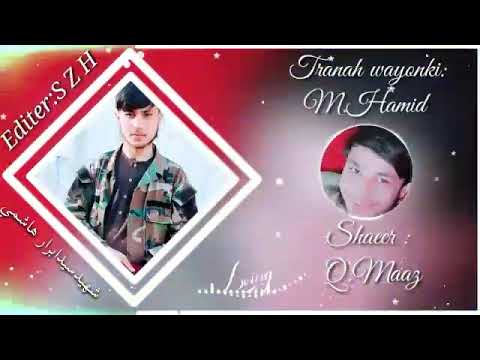 ښکلې او رنګينه زمزمه د شهيد سيد ابرار هاشمي پاک سپېڅلي او مقدس روح ته ډالۍ