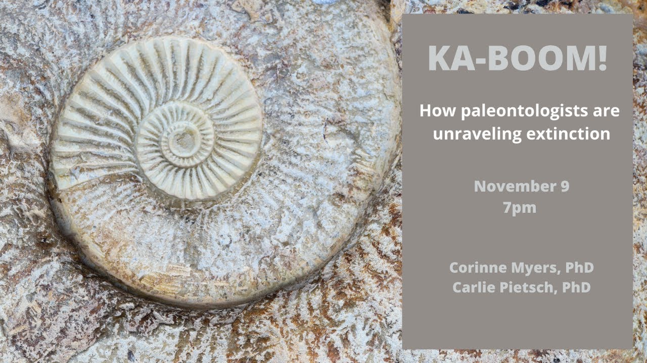 KaBoom! Crash! Shiver! How paleontologists are unraveling the