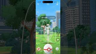 費洛美螂差點沒抓到